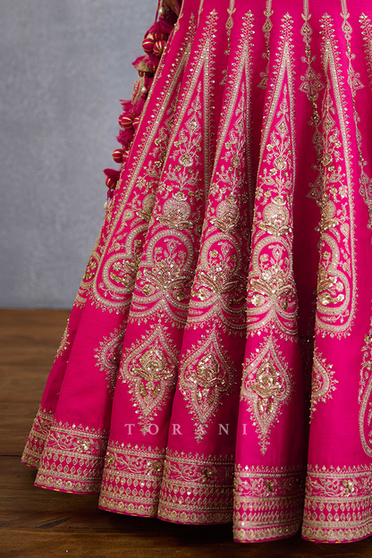 Padma Nyra Lehenga Set