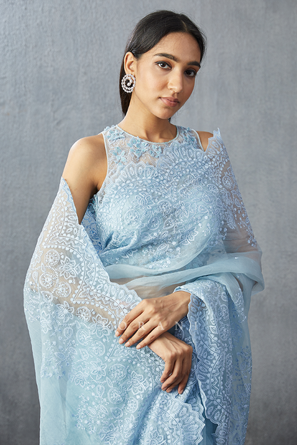 Aasmani Farrin Saree