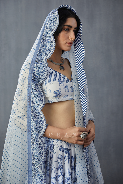 Neeli Gauraiya Aarohi Lehenga Set