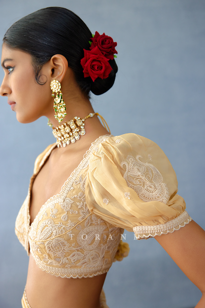 Mradu Haimanti Blouse