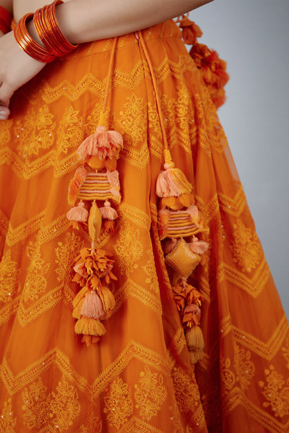 organza lehenga with tessels