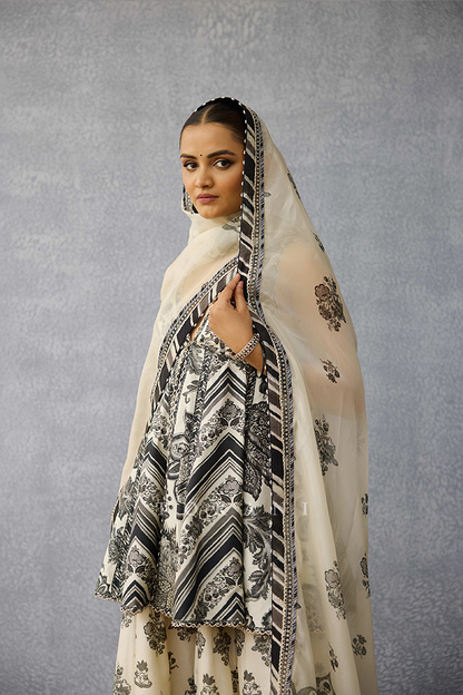 Kalamkari Charu Odhni