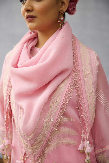 Gulaban Aashni Scarf