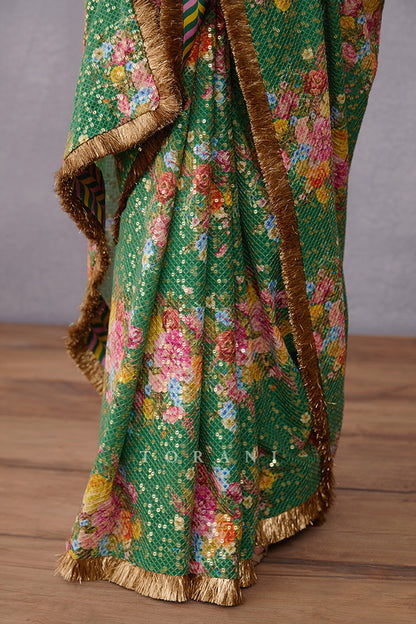 Panna Qasiba Sona Sitara Saree