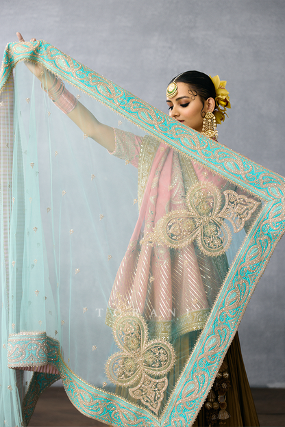 Neer-Rumaani Uddhava Veil Odhni