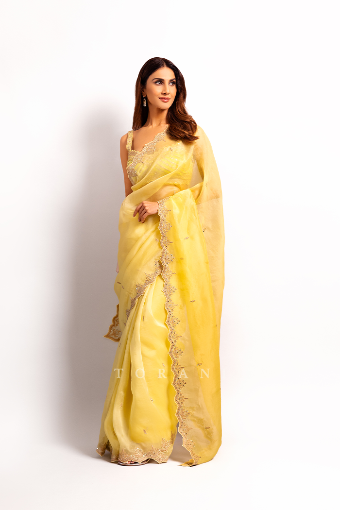 Vaani Kapoor in Our Gul-Mina Nayantara Zarra Saree Set