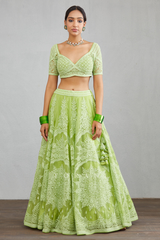 Green embroidered lehenga choli set
