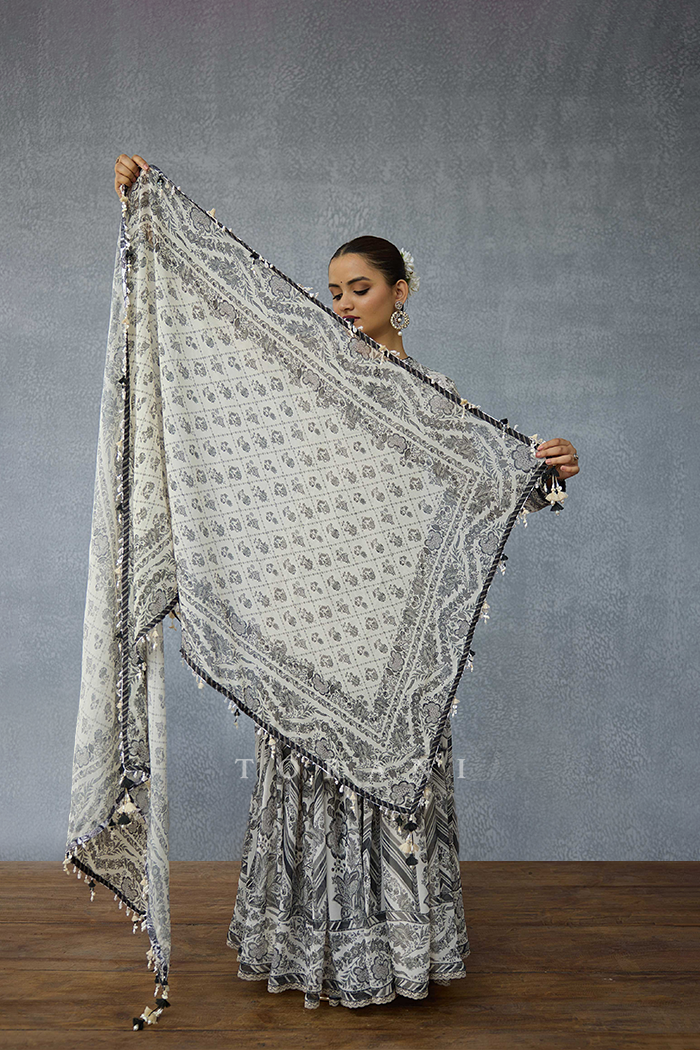 Kalamkari Dakshaa Odhni