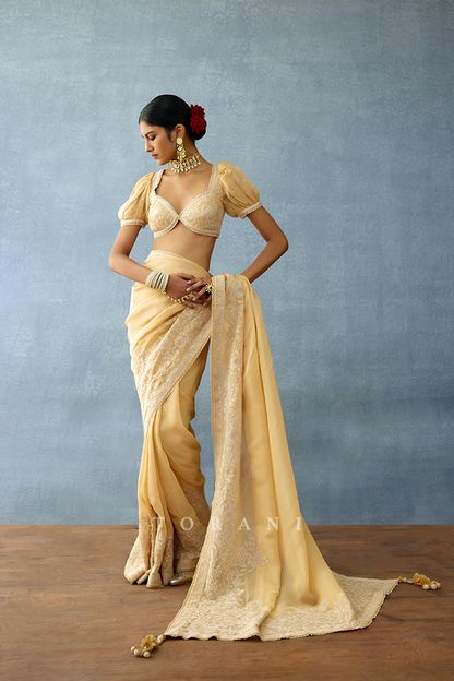 Mradu Haimanti Saree