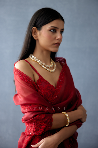 Gulmohar Damini Saree