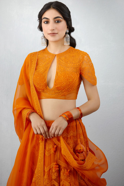 designer Organza lehenga choli set with lycra dupatta