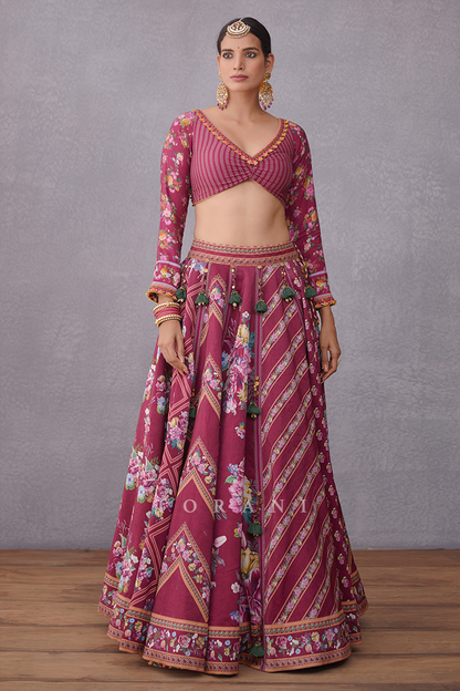 Manika Waheeda Lehenga Set