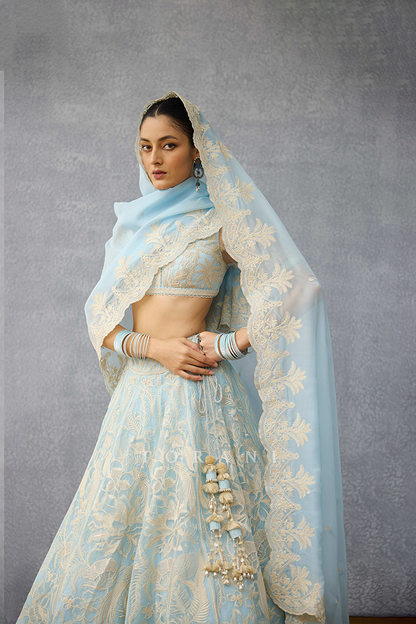 Pushkar Advika Lehenga Set