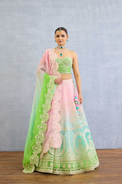 Prakriti Ayra Lehenga Set