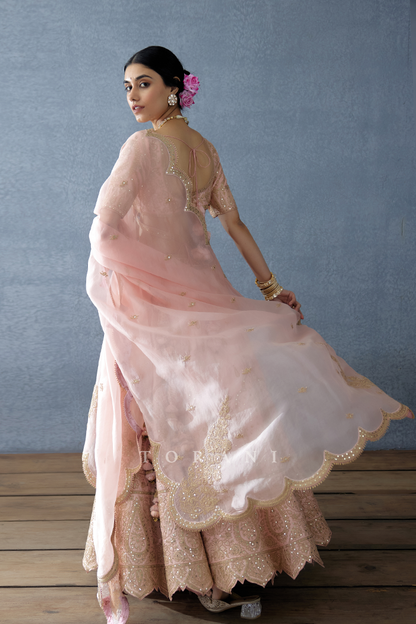 Gul-Naar Resham Lehenga Set