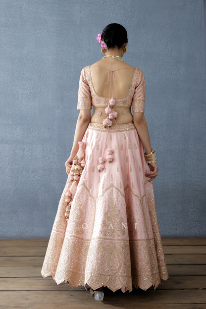 Gul-Naar Resham Blouse