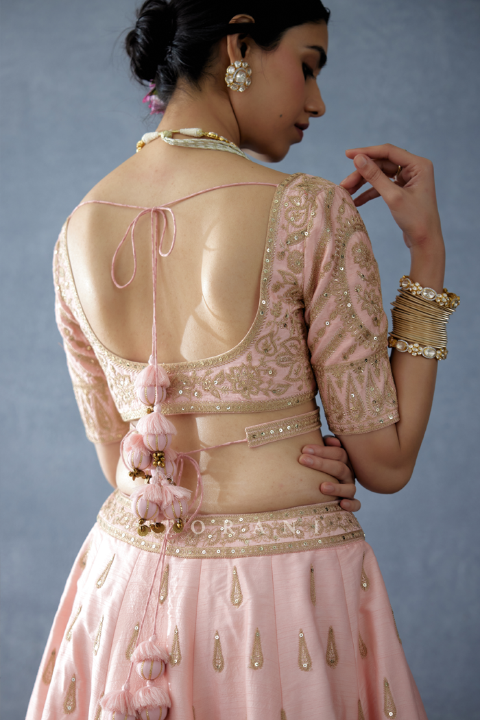 Gul-Naar Resham Blouse