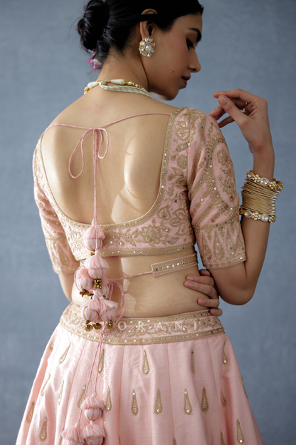 Gul-Naar Resham Blouse