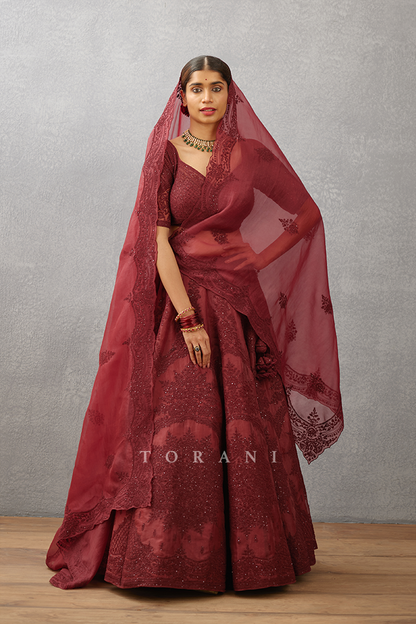 Gulnar Meher Passa Lehenga Set