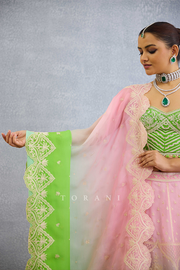 Prakriti Ayra Lehenga Set