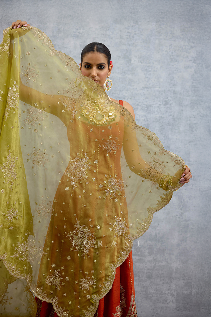 Sandali Hazra Anarkali Set