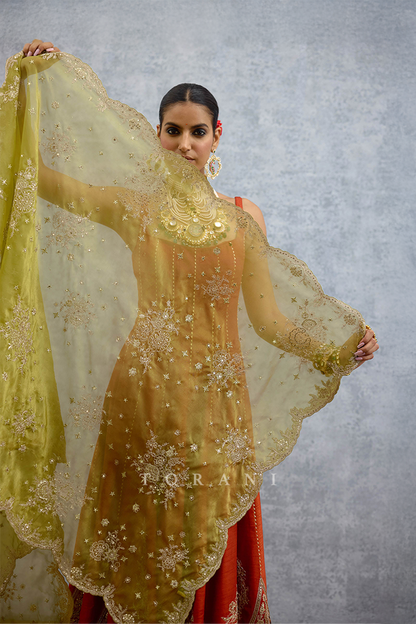Sandali Hazra Anarkali Set
