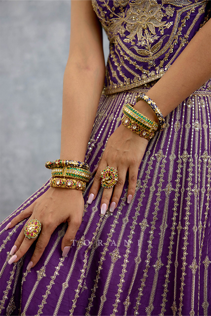 Ananta Arisha Lehenga Set