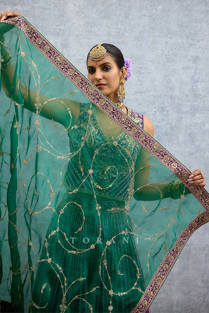 Ananta Arisha Lehenga Set