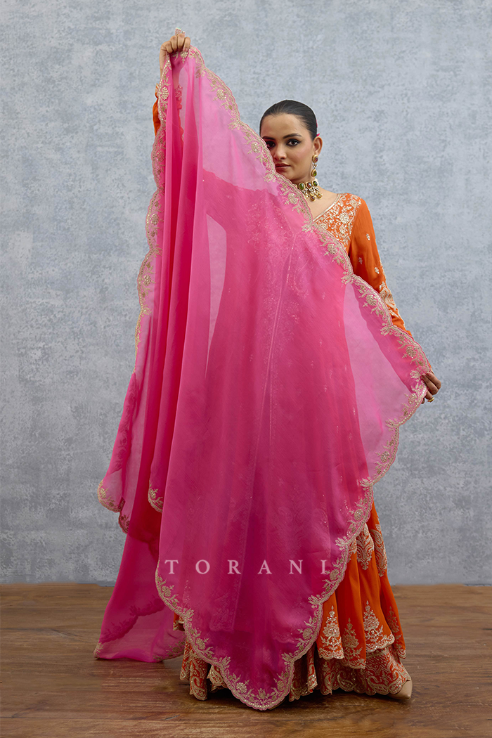 Sandali Alizay Anarkali Set