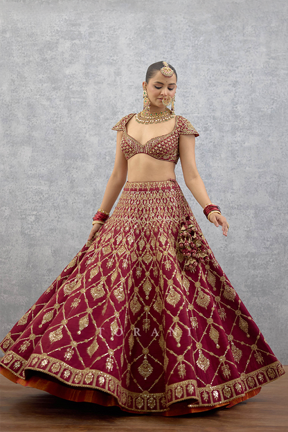 Lakshma Remsha Lehenga Set