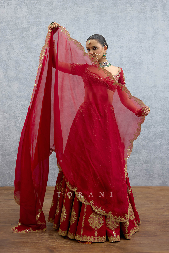 Lakshma Afifa Lehenga Set