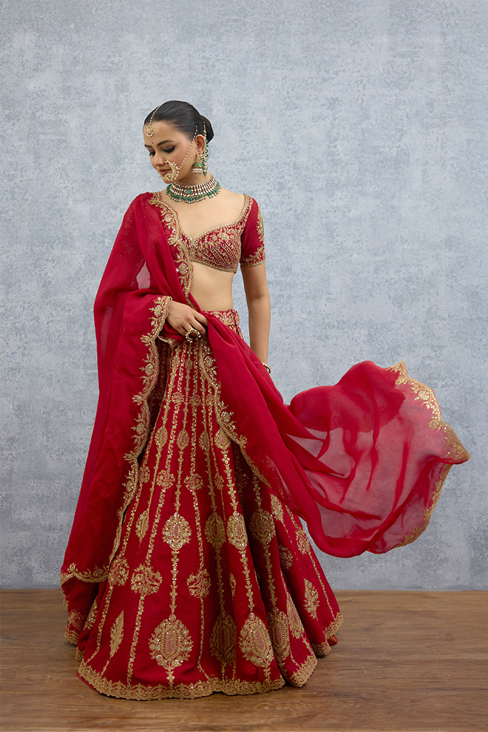 Lakshma Afifa Lehenga Set