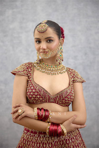Lakshma Remsha Lehenga Set