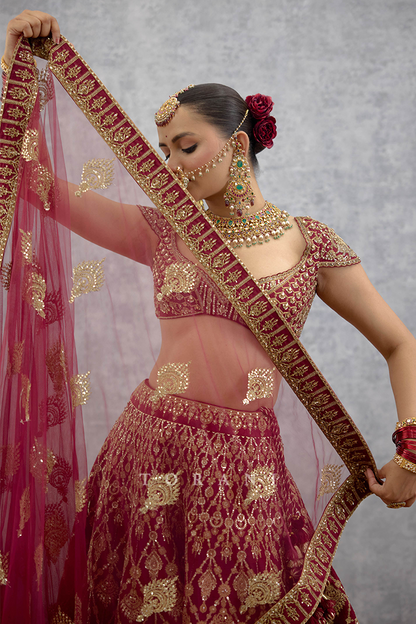 Lakshma Remsha Lehenga Set