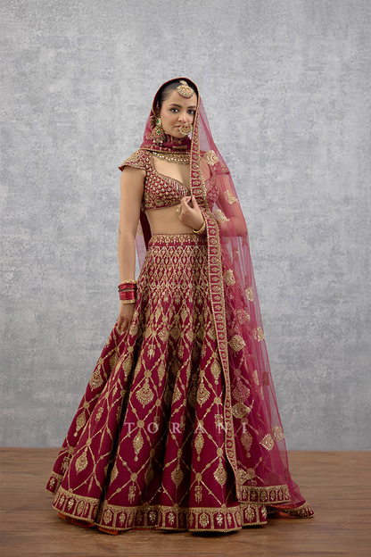 Lakshma Remsha Lehenga Set