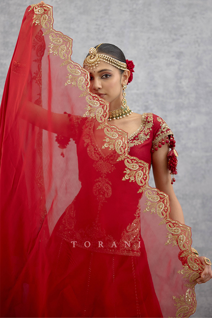 Lakshma Arfa Lehenga Set
