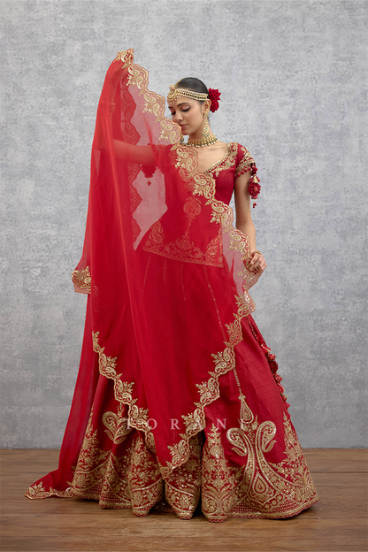Lakshma Arfa Lehenga Set