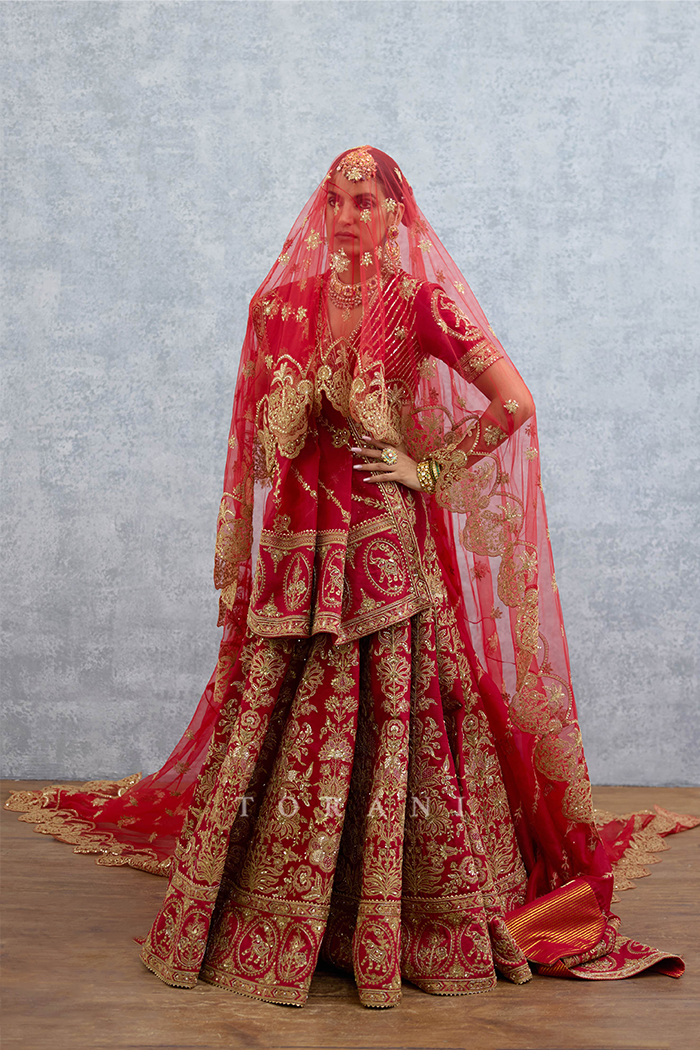 Lakshma Mehvish Lehenga Set