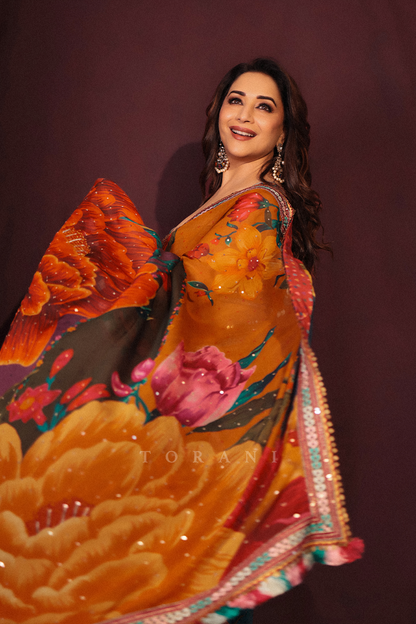 Madhuri Dixit in our Dil Rang Nigar Saree Set