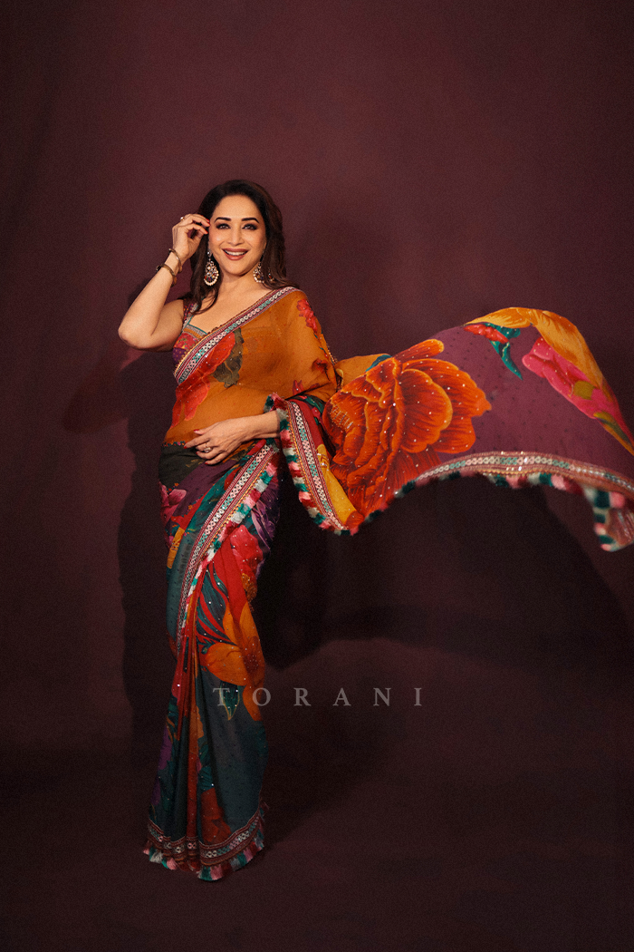 Madhuri Dixit in our Dil Rang Nigar Saree Set