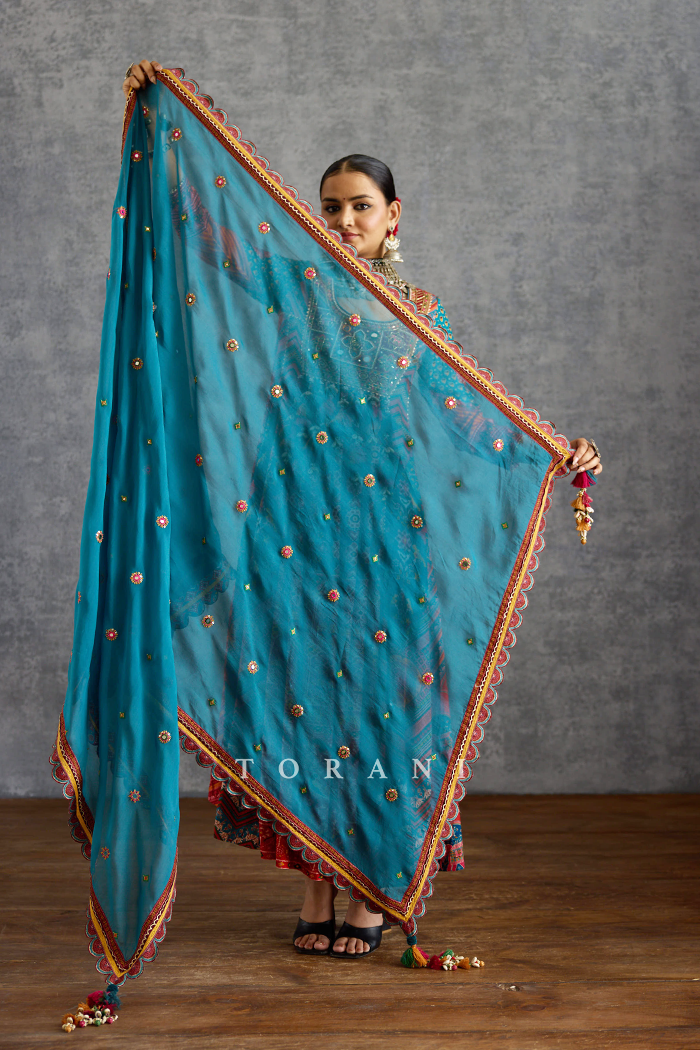 Niladri Nadira Anarkali Set