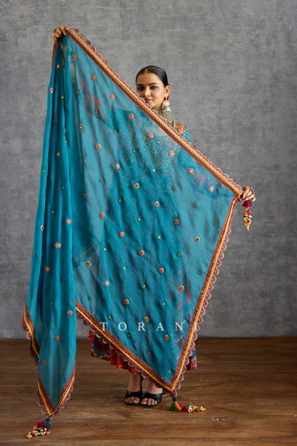 Niladri Nadira Anarkali Set