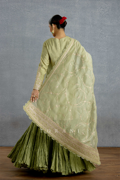 Pusta Noor Kurta Skirt Set