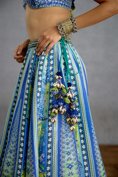 Varnaabha Ranjini Lehenga Set