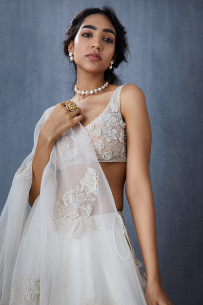 Swetah Mrinal Blouse