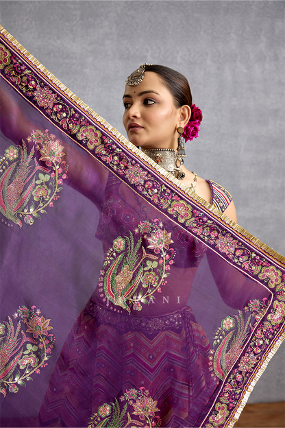 Komudika Abhisarika Lehenga Set