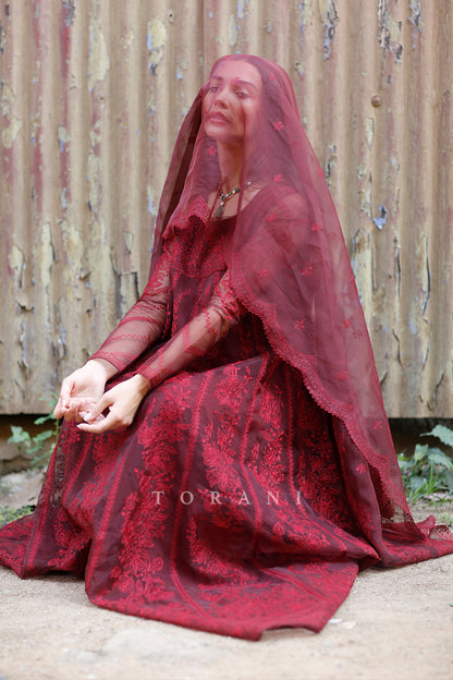 Bollywood celebs in Torani&