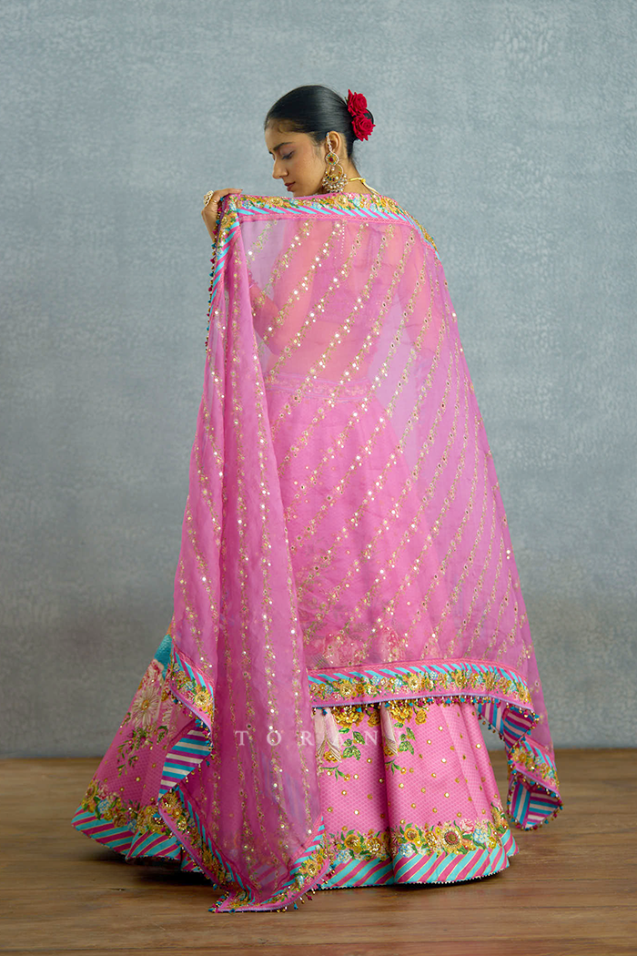 Rang Jhilmil Gulnaar Lehenga Set