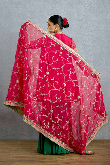 Dilkash Zamrud Sharara Set