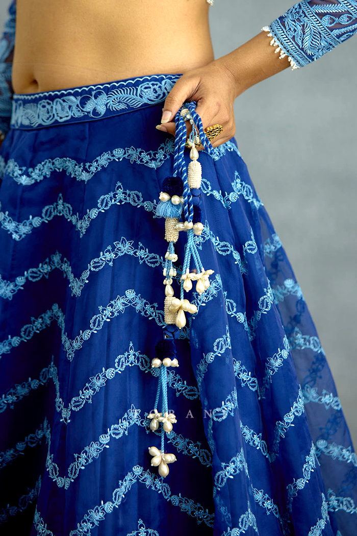 Shayamala Indira Lehenga Set